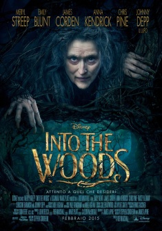 Into the woods (2014)
