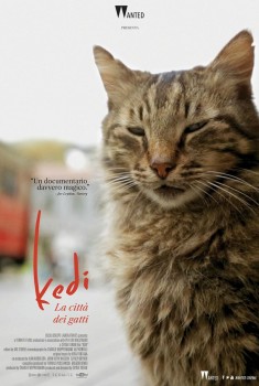 Kedi. La città dei gatti (2016)