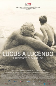 Lucus a Lucendo. A proposito di Carlo Levi (2019)